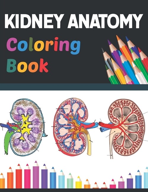 Kidney Anatomy Coloring Book: Incredibly Detailed Self-Test Human Kidney Anatomy Coloring Book for Anatomy Students & Teachers The Human Kidney Anat (Paperback)