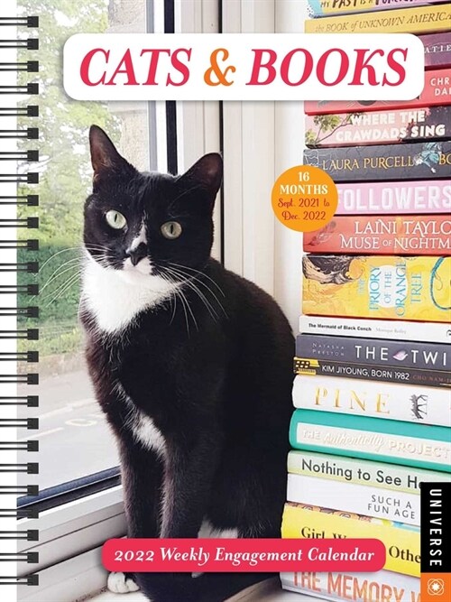 Cats & Books 16-Month 2021-2022 Weekly Engagement Calendar (Desk)