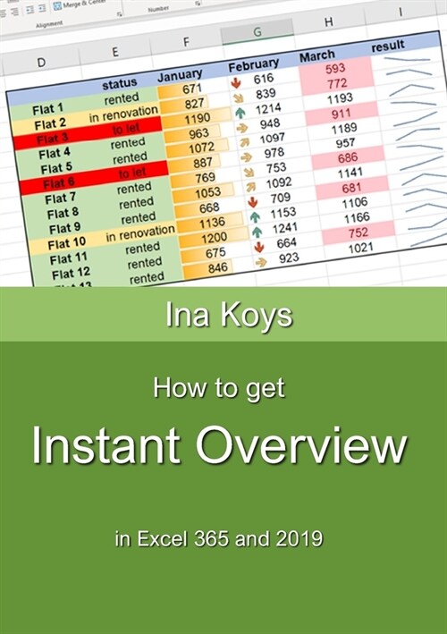 How to get Instant Overview: In Excel 365 and 2019 (Paperback)