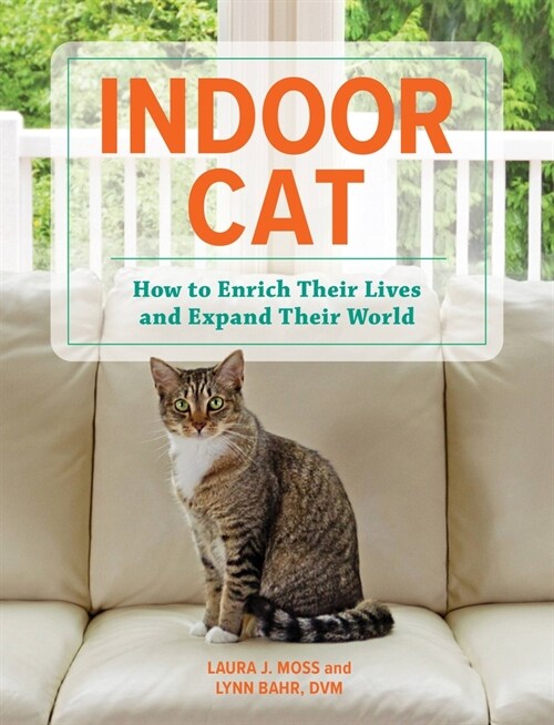 Indoor Cat: How to Enrich Their Lives and Expand Their World (Hardcover)