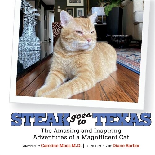 Steak Goes to Texas: The Amazing and Inspiring Adventures of a Magnificent Cat (Paperback)