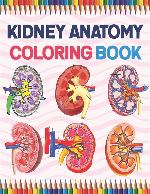 Kidney Anatomy Coloring Book: Human Kidney Coloring & Activity Book for Kids. An Entertaining And Instructive Guide To The Human Kidney. Human Kidne (Paperback)