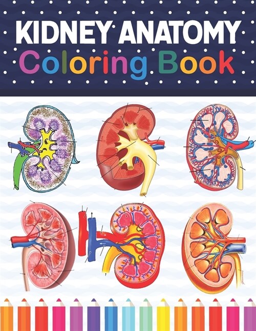 Kidney Anatomy Coloring Book: Nephrology Coloring Book For Nephrologist. Medical Anatomy Coloring Book for kids Boys and Girls. Physiology Coloring (Paperback)