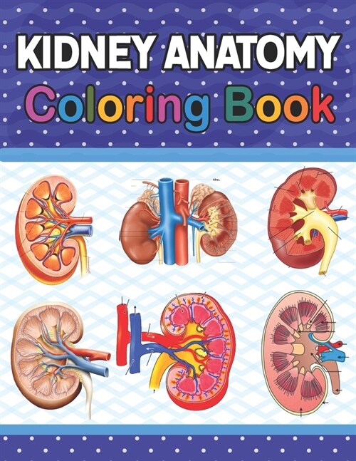 Kidney Anatomy Coloring Book: Fun and Easy Human Kidney Anatomy Coloring Book. Learn The Human Kidney Anatomy With Fun & Easy. Human Kidney Anatomy (Paperback)