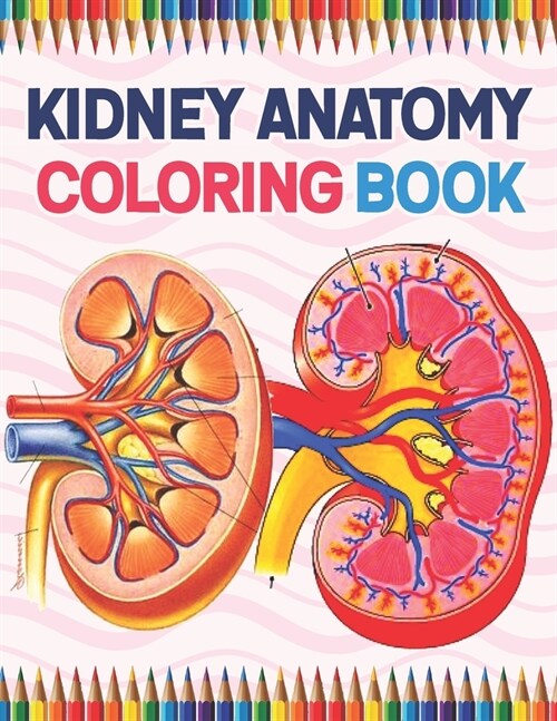 Kidney Anatomy Coloring Book: Nephrology Coloring Book For Nephrologist. Incredibly Detailed Self-Test Human Kidney Anatomy Coloring Book for Anatom (Paperback)