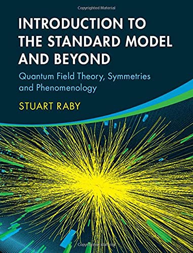 Introduction to the Standard Model and Beyond : Quantum Field Theory, Symmetries and Phenomenology (Hardcover)
