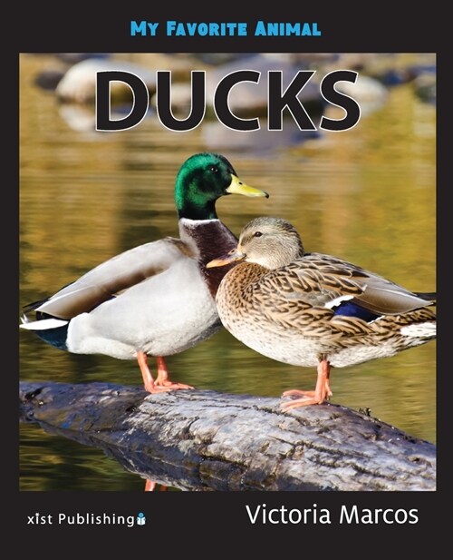 My Favorite Animal: Ducks (Paperback)