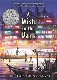 A Wish in the Dark (Paperback)