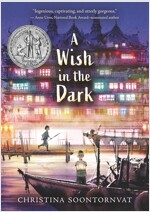 A Wish in the Dark (Paperback, 미국판)