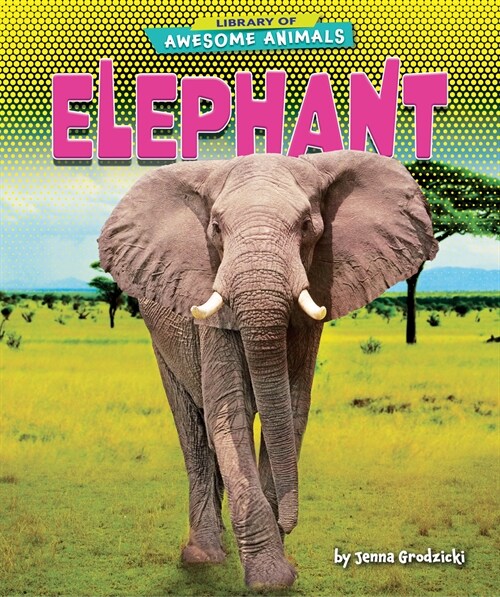 Elephant (Library Binding)