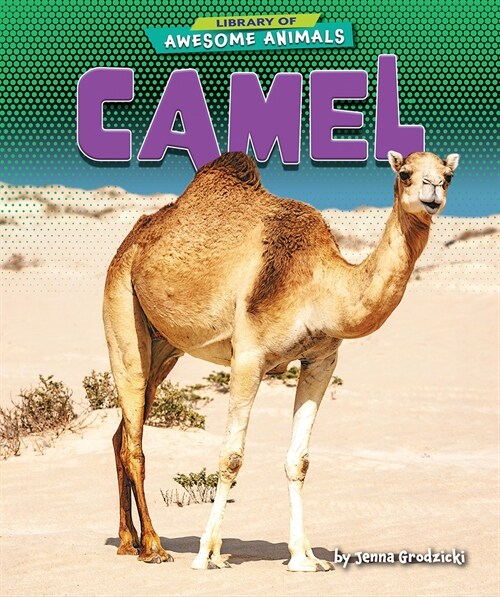 Camel (Paperback)