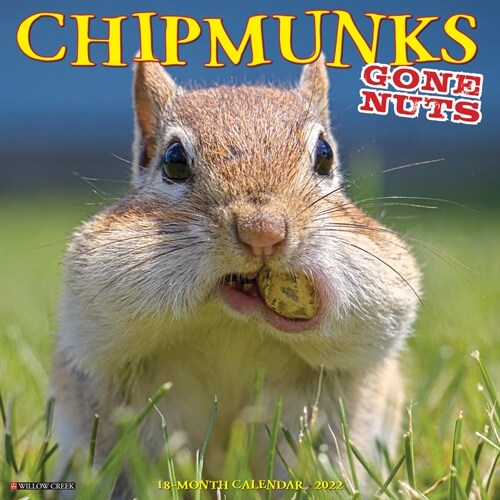 Chipmunks (Gone Nuts!) 2022 Wall Calendar (Wall)