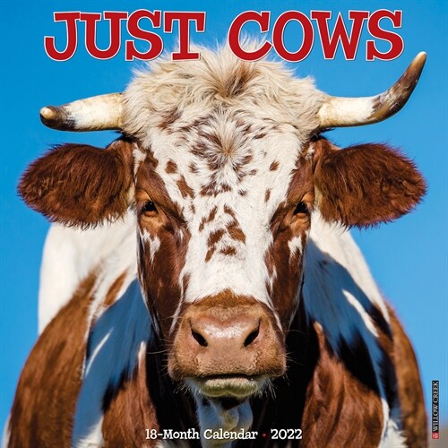 Just Cows 2022 Wall Calendar (Wall)