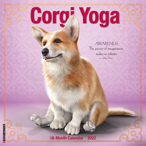 Corgi Yoga 2022 Wall Calendar (Dog Humor) (Wall)