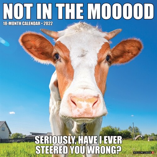 Not in the Mooood 2022 Wall Calendar (Cows) (Wall)
