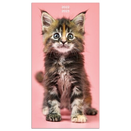 Cal 2022- Kittens 2-Year Small Monthly Planner (Other)