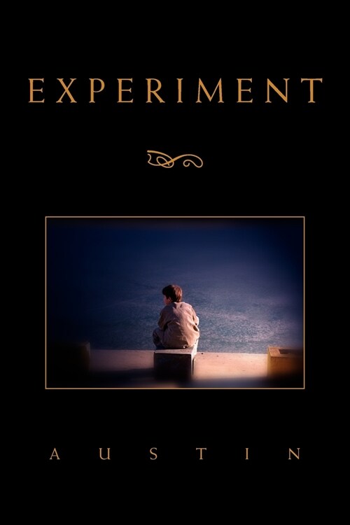 Experiment (Paperback)