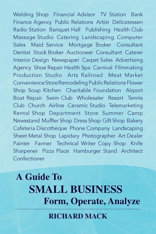 A Guide to Small Business Form, Operate, Analyze (Paperback)