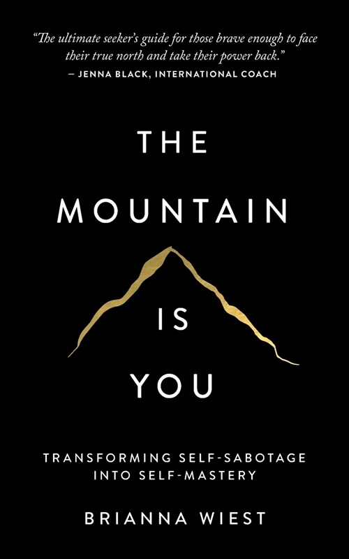 The Mountain Is You : Transforming Self-Sabotage Into Self-Mastery (Paperback)