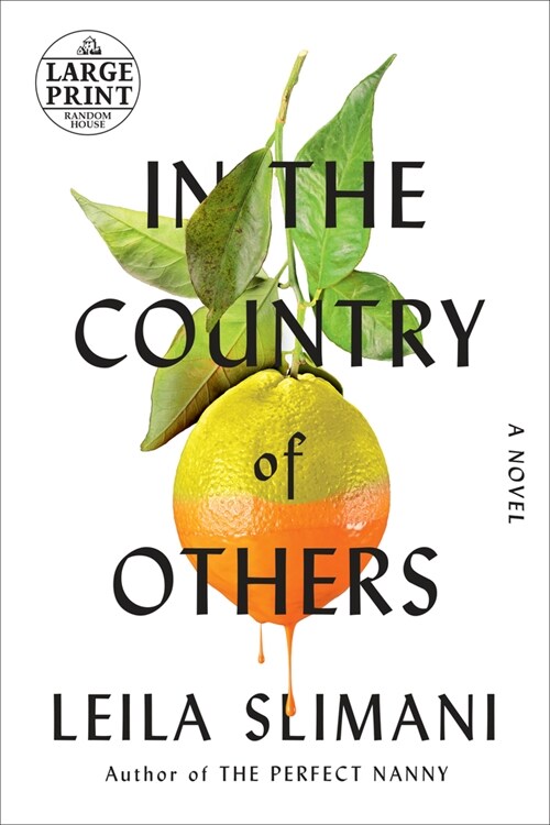 In the Country of Others (Paperback)