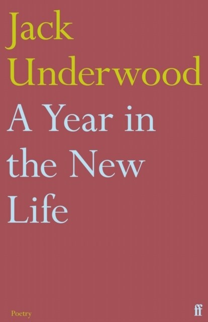 A Year in the New Life (Paperback)