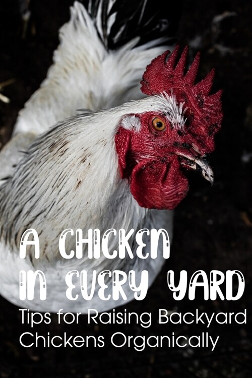 A Chicken In Every Yard Tips For Raising Backyard Chickens Organically: Backyard Chickens (Paperback)