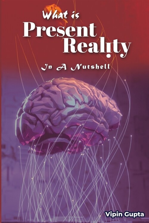 What Is Present Reality: In A Nutshell (Paperback)