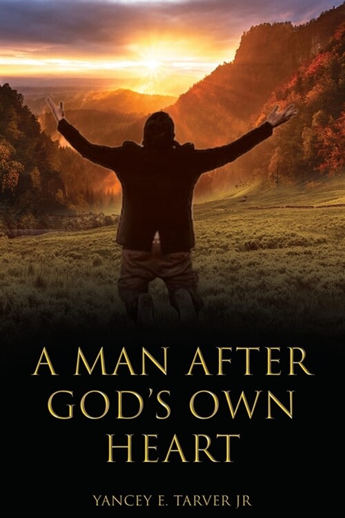 A Man after Gods Own Heart (Paperback)