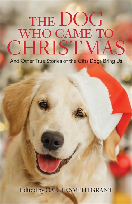 The Dog Who Came to Christmas: And Other True Stories of the Gifts Dogs Bring Us (Paperback)