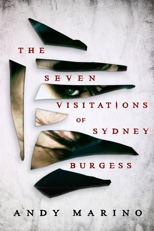 The Seven Visitations of Sydney Burgess (Paperback)