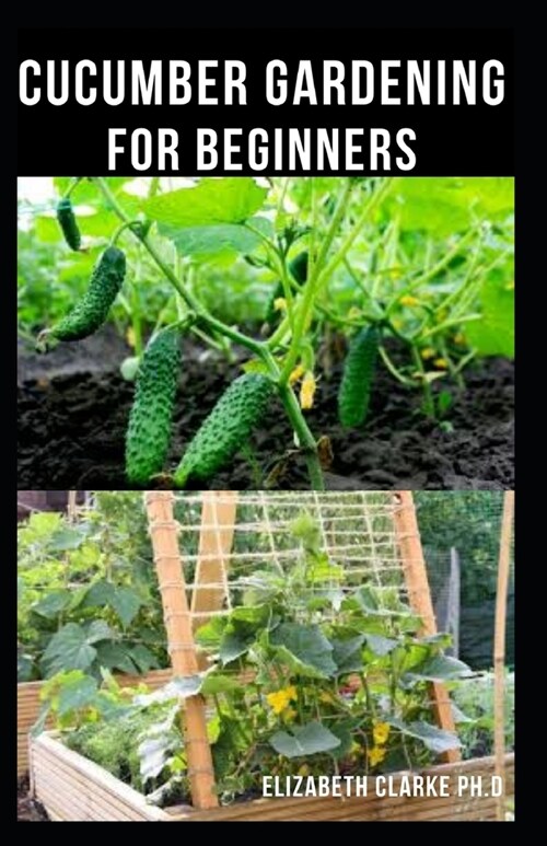 Cucumber Gardening for Beginners: Step By Step Guide To Growing A Cucumber Garden From Planting Stage To Harvest Includes Everything You Need To Know (Paperback)