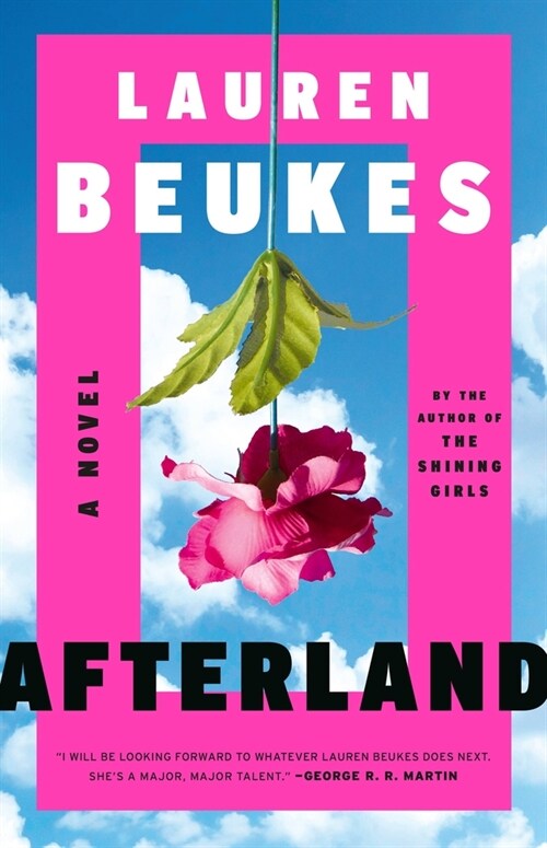 Afterland (Paperback)