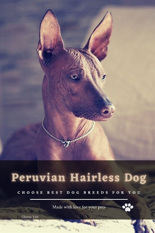 Peruvian Hairless Dog: Choose best dog breeds for you (Paperback)