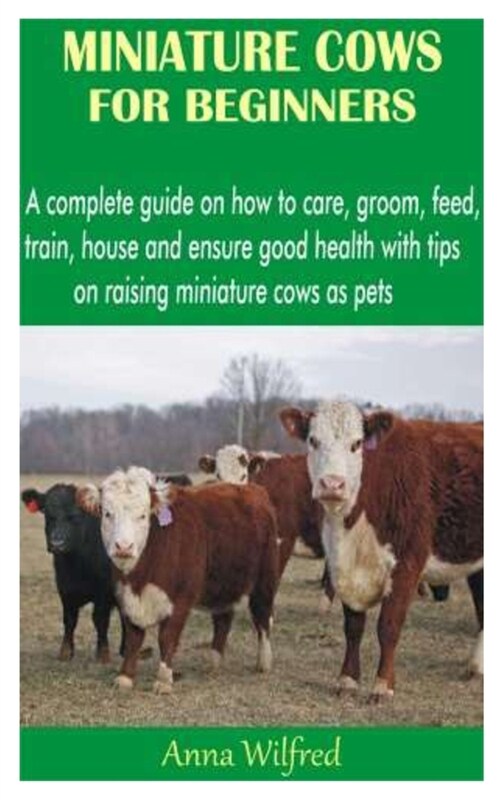 Miniature Cows for Beginners: A complete guide on how to care, groom, feed, train, house and ensure good health with tips on raising miniature cows (Paperback)