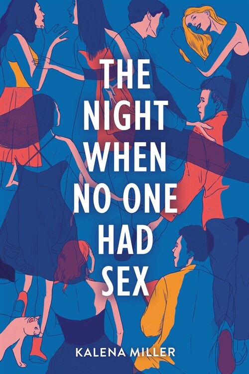 The Night When No One Had Sex (Hardcover)