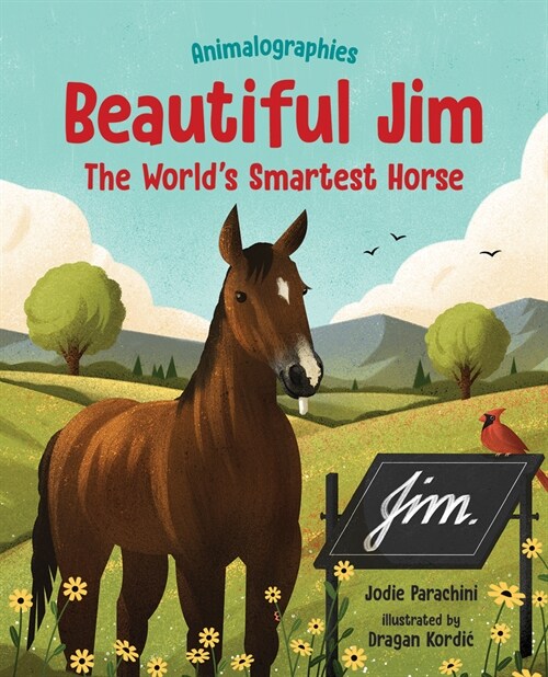 Beautiful Jim: The Worlds Smartest Horse (Hardcover)