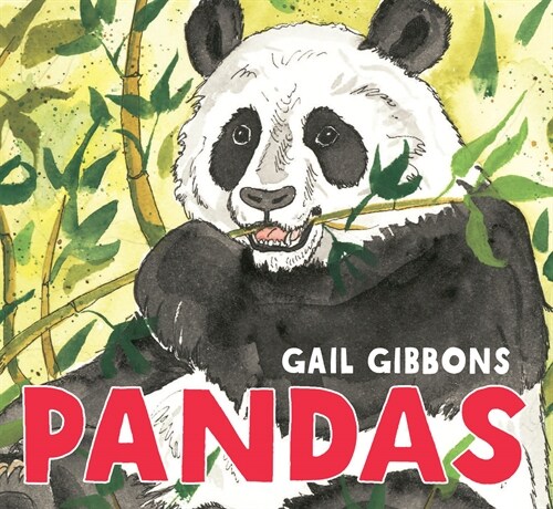 Pandas (Board Books)