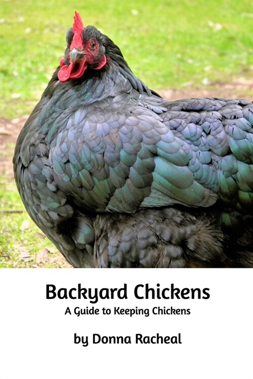 Backyard Chickens: A guide to keeping chickens (Paperback)