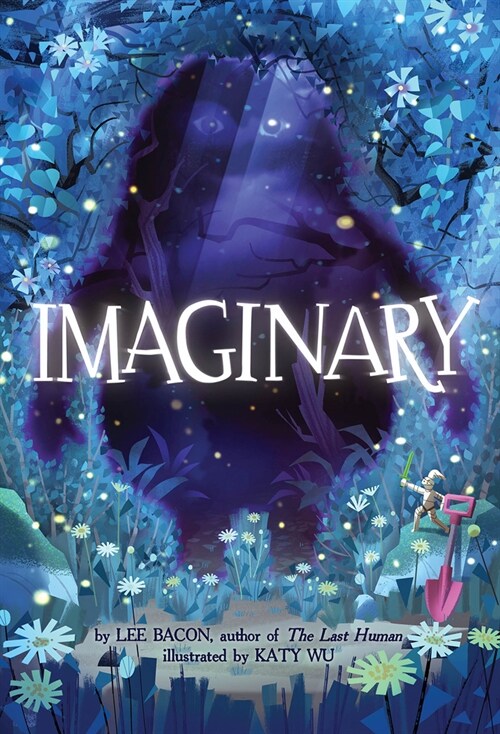 Imaginary (Hardcover)