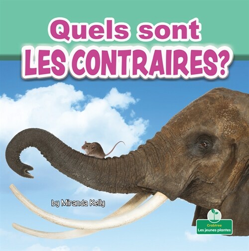 Quels Sont Les Contraires? (What Are Opposites?) (Paperback)
