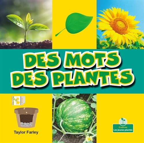 Des Mots Des Plantes (Plant Words) (Paperback)