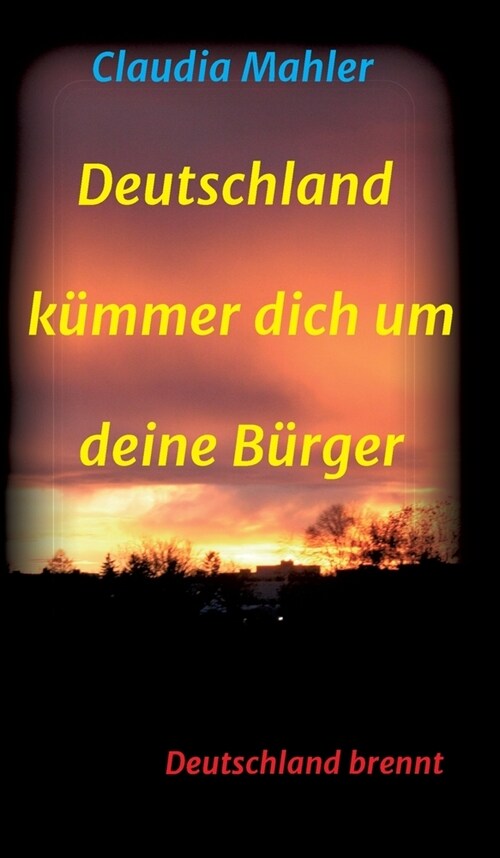 Deutschland K?mer dich um deine B?ger: Deutschland brennt (Hardcover)