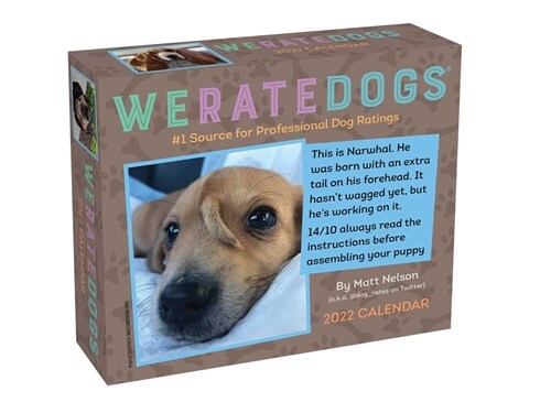 Weratedogs 2022 Day-To-Day Calendar (Daily)