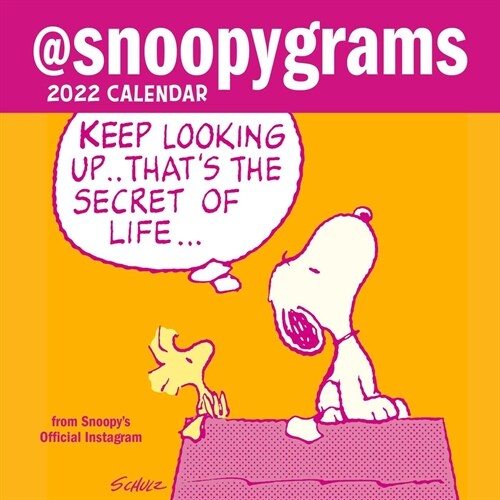 Peanuts 2022 Mini Wall Calendar: @snoopygrams (Mini)