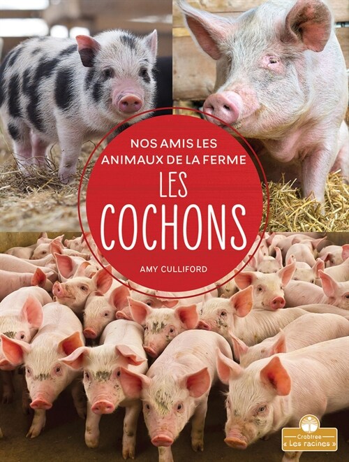 Les Cochons (Pigs) (Paperback)