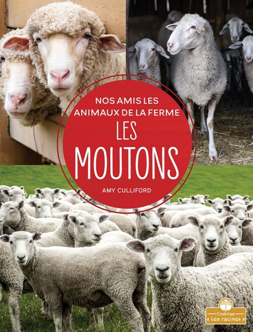 Les Moutons (Sheep) (Paperback)