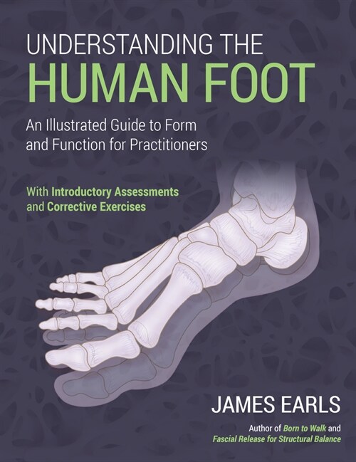 Understanding the Human Foot: An Illustrated Guide to Form and Function for Practitioners (Paperback)