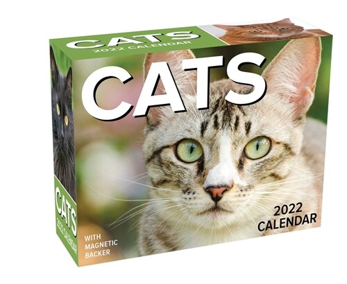Cats 2022 Mini Day-To-Day Calendar (Daily)