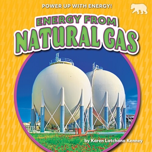 Energy from Natural Gas (Library Binding)