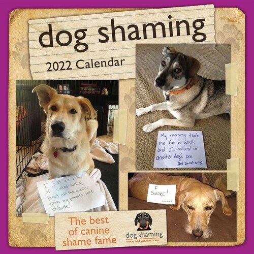 Dog Shaming 2022 Wall Calendar (Wall)